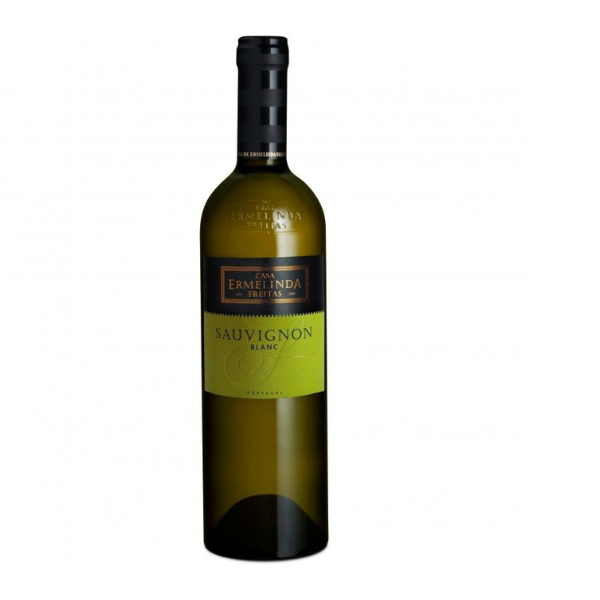 Sauv Blanc -  Vinho Tinto