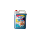 Nettoyant tout usage Acty Marine 5L